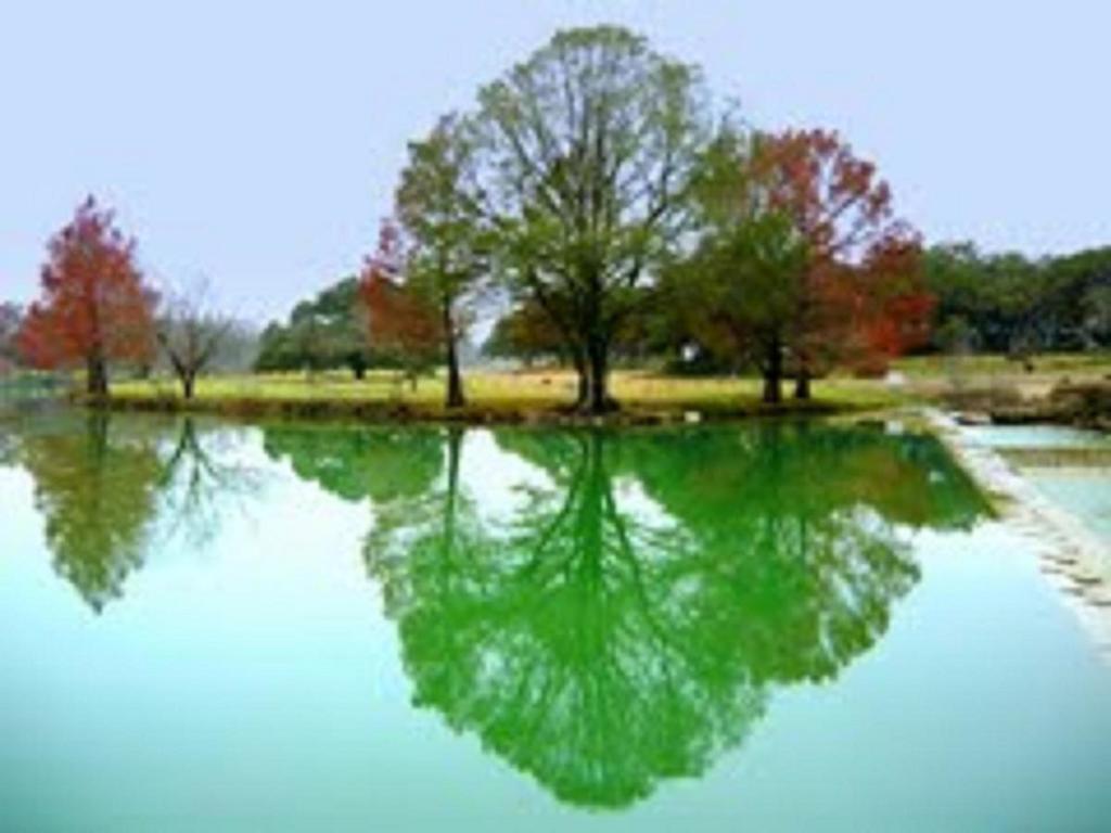 Riverside 3* Blanco